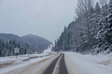 Dağların arasında karla kaplı otoyol, karların arasında ağaçlar ve ağaçlar var. Karla kaplı yolu, Montana, Amerika 'daki köknar ağaçları ve dağları olan kış manzarası, 1-18-2020