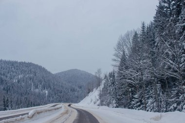 Dağların arasında karla kaplı otoyol, karların arasında ağaçlar ve ağaçlar var. Karla kaplı yolu, Montana, Amerika 'daki köknar ağaçları ve dağları olan kış manzarası, 1-18-2020