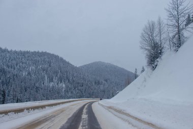 Dağların arasında karla kaplı otoyol, karların arasında ağaçlar ve ağaçlar var. Karla kaplı yolu, Montana, Amerika 'daki köknar ağaçları ve dağları olan kış manzarası, 1-18-2020