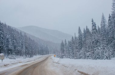 Dağların arasında karla kaplı otoyol, karların arasında ağaçlar ve ağaçlar var. Karla kaplı yolu, Montana, Amerika 'daki köknar ağaçları ve dağları olan kış manzarası, 1-18-2020