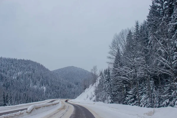 Estrada Coberta Neve Entre Montanhas Nas Laterais Árvores Árvores Neve — Fotografia de Stock