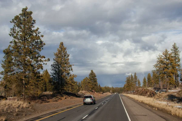 Beautiful Road Landscape Sunny Autumn Day Highway Tall Fir Trees — Stock Photo, Image