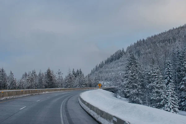 Winterautobahn Zwischen Schneebedeckten Bergen Und Hohen Tannen Bei Sonnenuntergang — Stockfoto