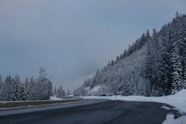 Gün batımında karla kaplı dağlar ve yüksek köknar ağaçları arasında kış karayolu.
