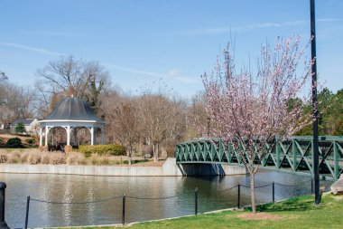 Büyük bir göleti ve çiçek açan ağaçların arasında güzel bir çardağı olan güzel bir park. Cleveland Park, Spartanburg, SC, ABD Güneşli bir bahar gününde.