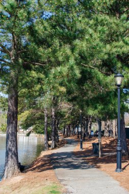 Baharın erken saatlerinde güneşli bir günde ağaçların arasındaki patika. Cleveland Park, Spartanburg, SC, ABD