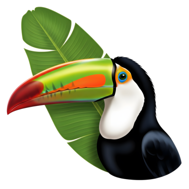 Toucan bird çizgi film karakter vektör çizimi tasarımı