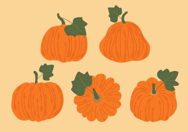 El çizimi balkabağı ögesi koleksiyonu, sonbahar vektör ögesi seçimi.