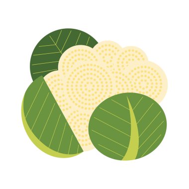 Doğal Organik Sebze Cauli Çiçeği Sağlıklı Vektör Yeşil Gıda