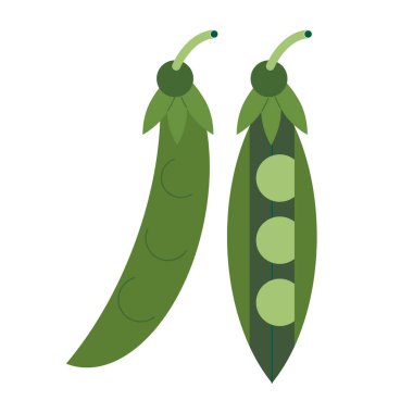 Doğal organik sebze, yeşil bezelye, sağlıklı vektör yeşil gıda.