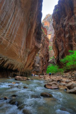 Zion Ulusal Parkı, Utah