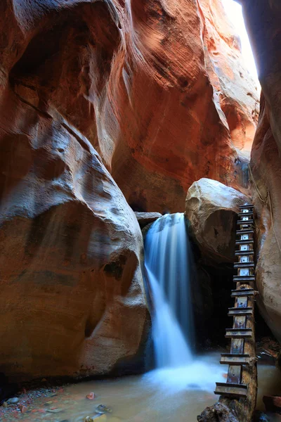Kanarra Creek Falls sadece Zion National Park dışında bulunur ve uzun bir yürüyüş bir mücevher. Güzel küçük düşme bu derme çatma merdiven ile sizi bekliyor. Zammı da harika - ıslak almak hazır olun.