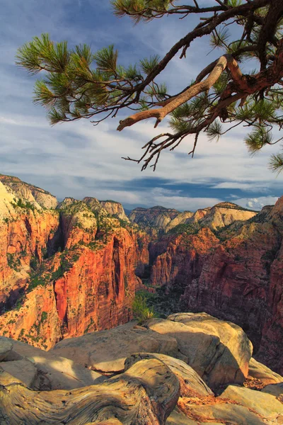 Une Vue Haut Angels Alnding Randonnée Vraiment Spectaculaire Incontournable Moins — Photo