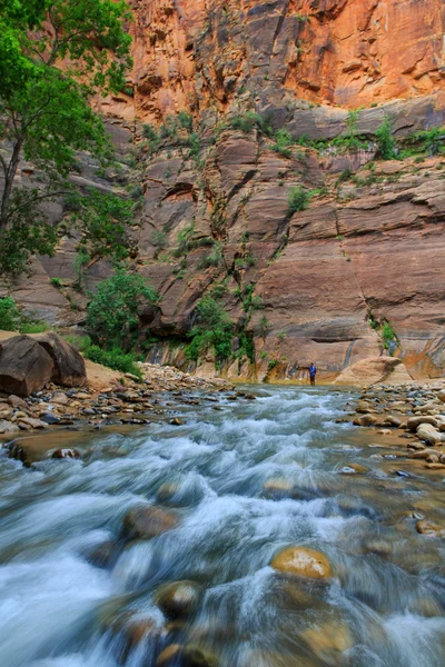 Park Narodowy Zion Utah — Zdjęcie stockowe