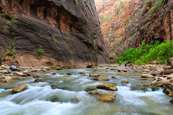 Park Narodowy Zion Utah — Zdjęcie stockowe