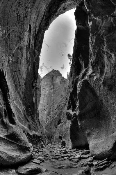 Parque Nacional Zion Utah — Foto de Stock