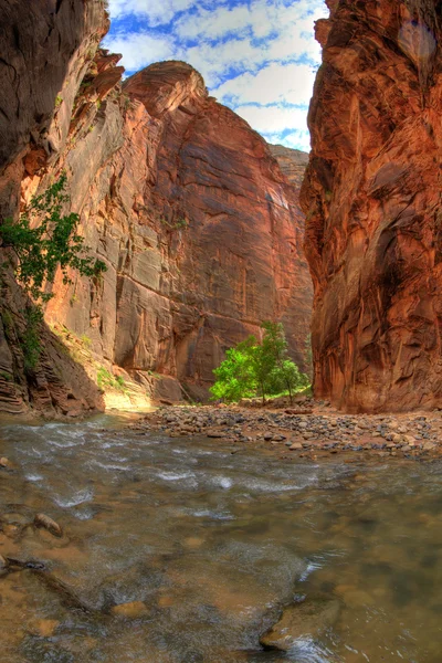 Park Narodowy Zion Utah — Zdjęcie stockowe