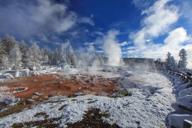 Kırmızı Spouter kış