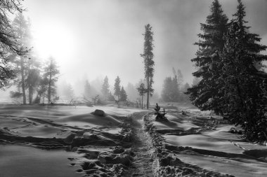 Güneşli zafer kış