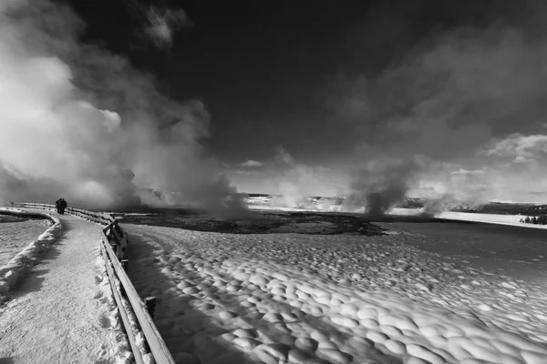 Schwarz-weiße Winter- und Schneegeysire — Stockfoto