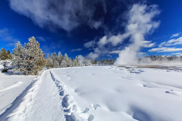 Route enneigée à Yellowstone — Photo