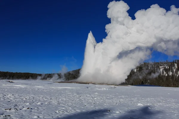 Inverno ensolarado Glória — Fotografia de Stock