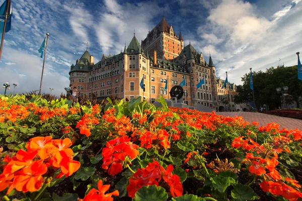 Bloemen op Unesco — Stockfoto