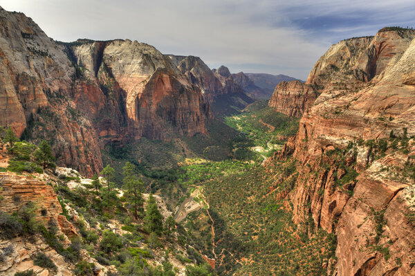 Цветы на ЮНЕСКО
