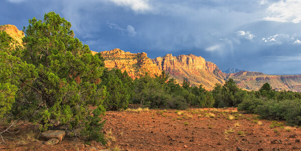 Цветы на ЮНЕСКО

