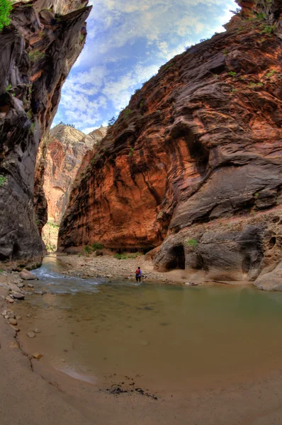 Wading in the Narrows — Stock Photo, Image