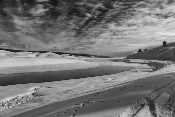 Hayden Valley Yellowstone — Stockfoto