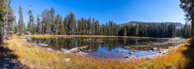 Fall Colors, Toulumn Meadows Yosemite Ulusal Parkı, Tioga Geçidi, Kaliforniya