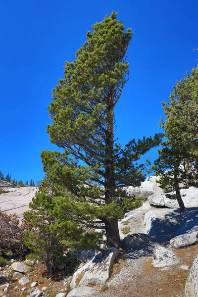 Olmstead Point Parque Nacional Yosemite California — Foto de Stock