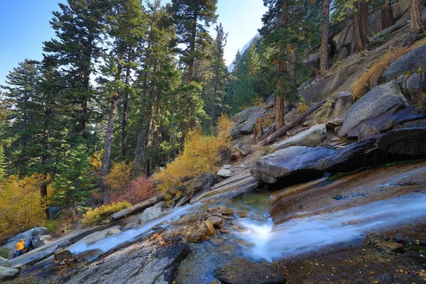 Fall Colors Waterfall Whiteny Portal Inyo National Forest California — стокове фото