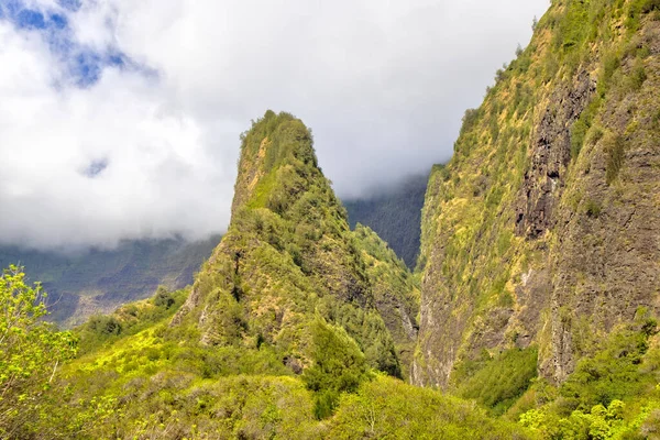 ハワイ ビーチ 日の出 溶岩岩 花への道 日の出 天文台 ヤシの木 — ストック写真