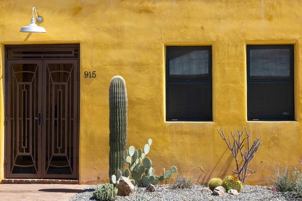Typical Doors Neighborhood Views Old Tucson Adobe Homes — Stock Photo, Image