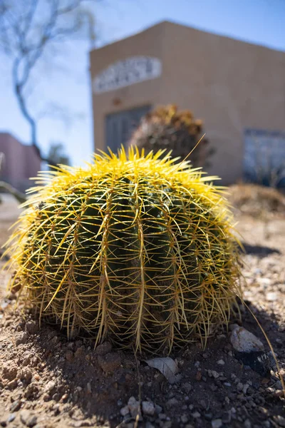 Typical Doors Neighborhood Views Old Tucson Adobe Homes — Stock fotografie