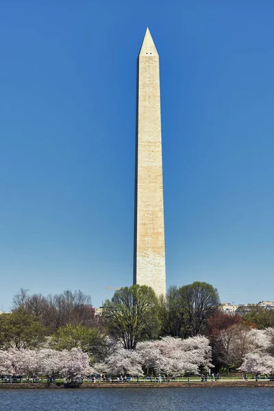 Monumento Jefferson Cuenca Marea Washignton Flores Cerezo — Foto de Stock