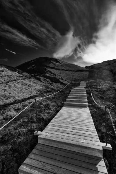 Zlanda Fjord Westfjord Volkan Buz Kar Lava Şelaleler Atlar Tekneler — Stok fotoğraf