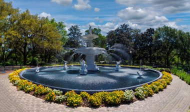 Savannah, Georgia 'daki ikonik Forsyth Park Çeşmesi parlak mavi bir gökyüzünün altına su püskürtür. Zarif beyaz heykelleri, deniz kızları ve canlı sarı ve beyaz çiçeklerle çevrili kuğular. Tuğla yolu,