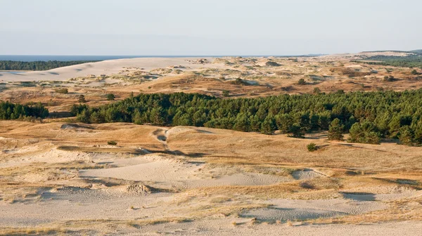 Duna de arena en Lituania — Foto de Stock