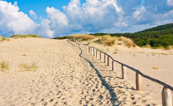 Sand dune in Lithuania 2
