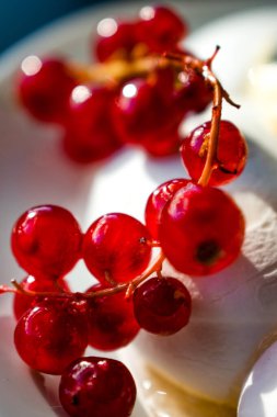 Beyaz dokulu bir yüzey üzerinde duran parlak kırmızı frenk üzümü kümesinin dikey makro görüntüsü. Işıl ışıl, parlak renkli meyveler yumuşak açık mavi bir bokeh arka planda.