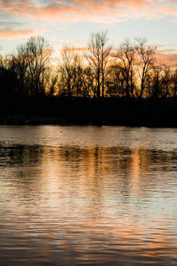 Sakin bir göl üzerinde sakin bir kış ya da bahar günbatımı. Pastel pembe ve mavi gökyüzü dalgalı suyu yansıtırken, çıplak ağaçlar ve dinlenen kuşlar da altın saat boyunca huzurlu ve düşünceli bir doğal manzara oluştururlar..