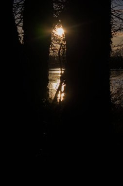 Sakin bir nehre yansıyan sıcak altın ışıkla gün batımından önce huzurlu bir manzara. Alçak güneş, karanlık ağaç ve çimen siluetleriyle çerçevelenmiş parlak bir su yolu yaratırken, bir kuş sisli ufukta uçuyor..