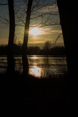 Sakin bir nehre yansıyan sıcak altın ışıkla gün batımından önce huzurlu bir manzara. Alçak güneş, karanlık ağaç ve çimen siluetleriyle çerçevelenmiş parlak bir su yolu yaratırken, bir kuş sisli ufukta uçuyor..