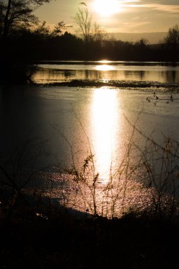 Sakin bir nehre yansıyan sıcak altın ışıkla gün batımından önce huzurlu bir manzara. Alçak güneş, karanlık ağaç ve çimen siluetleriyle çerçevelenmiş parlak bir su yolu yaratırken, bir kuş sisli ufukta uçuyor..