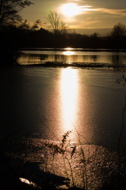 Sakin bir nehre yansıyan sıcak altın ışıkla gün batımından önce huzurlu bir manzara. Alçak güneş, karanlık ağaç ve çimen siluetleriyle çerçevelenmiş parlak bir su yolu yaratırken, bir kuş sisli ufukta uçuyor..