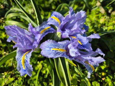 Martos kayasının doğal alanından yürüyüş rotası.