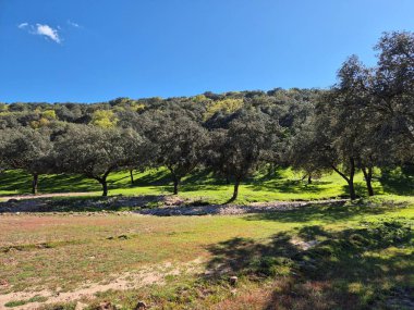 Sierra Morena Doğal Parkı, Andujar 'dan yürüyüş rotası